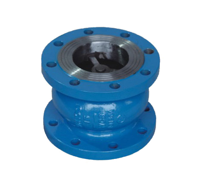 鑄鋼消聲止回閥